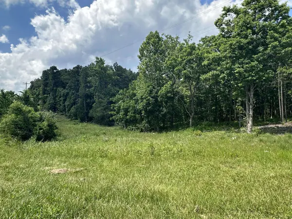 000 Country Aire Land & Pine Ridge, Mountain Grove, MO 65711