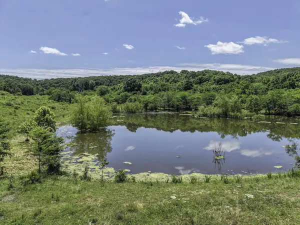 23605 County Road U-112, Norwood, MO 65717