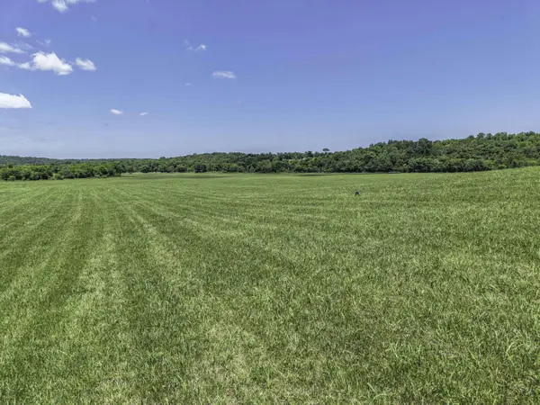23605 County Road U-112, Norwood, MO 65717