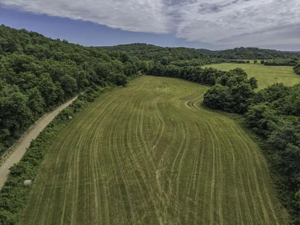 23605 County Road U-112, Norwood, MO 65717