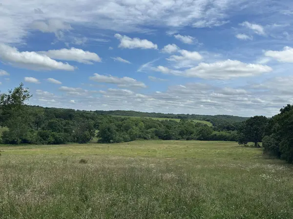 8000 Highway Jj, Mountain Grove, MO 65711