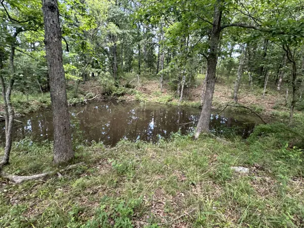8000 Highway Jj, Mountain Grove, MO 65711