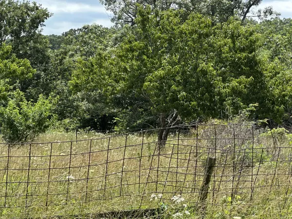 8000 Highway Jj, Mountain Grove, MO 65711