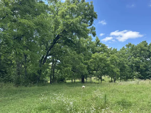 8000 Highway Jj, Mountain Grove, MO 65711