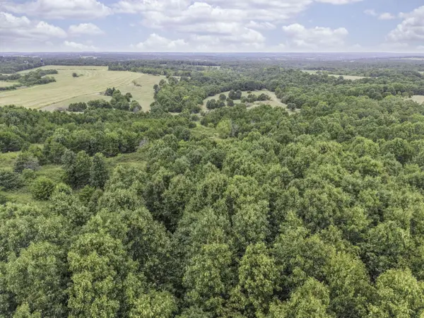 000 Gravel Point RD, Mountain Grove, MO 65711