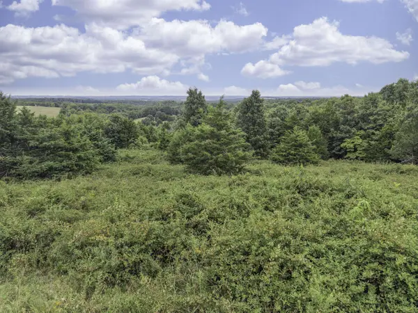 000 Gravel Point RD, Mountain Grove, MO 65711
