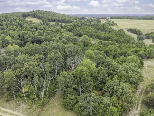 000 Gravel Point RD, Mountain Grove, MO 65711
