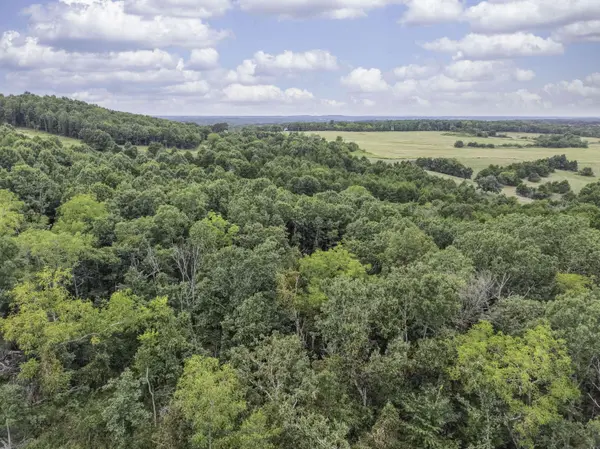 000 Gravel Point RD, Mountain Grove, MO 65711