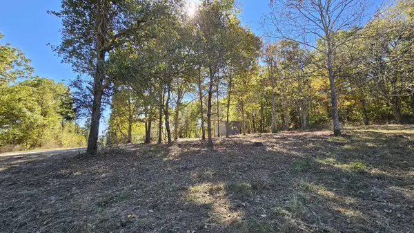 000 County Road 235, Drury, MO 65638