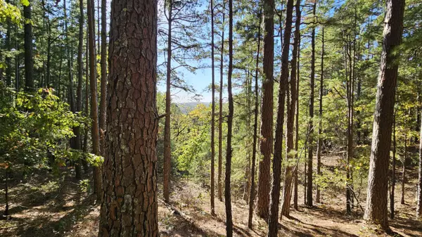 000 County Road 235, Drury, MO 65638