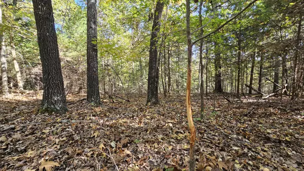 000 County Road 235, Drury, MO 65638