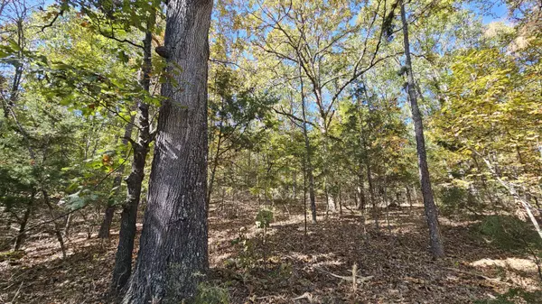 000 County Road 235, Drury, MO 65638