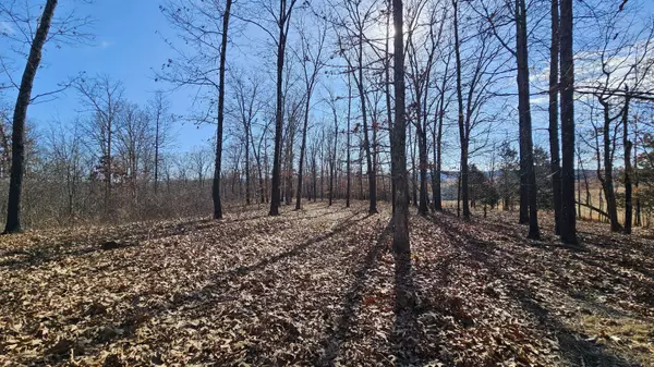 65 Gunslinger DR, Brixey, MO 65618