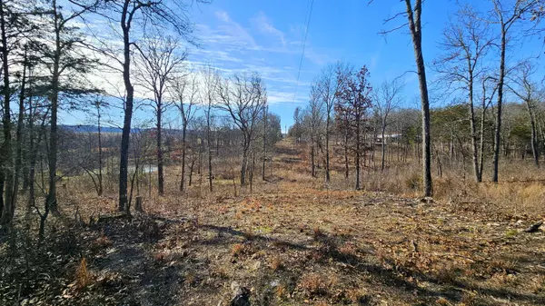 65 Gunslinger DR, Brixey, MO 65618