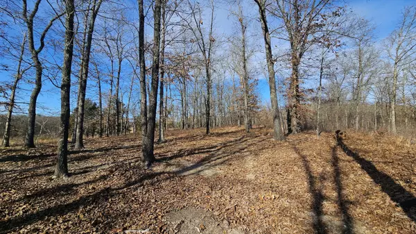 65 Gunslinger DR, Brixey, MO 65618