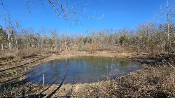 65 Gunslinger DR, Brixey, MO 65618