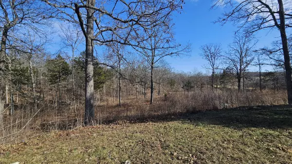 65 Gunslinger DR, Brixey, MO 65618