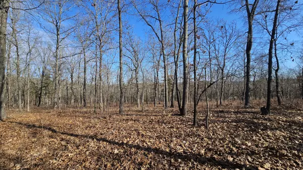 65 Gunslinger DR, Brixey, MO 65618