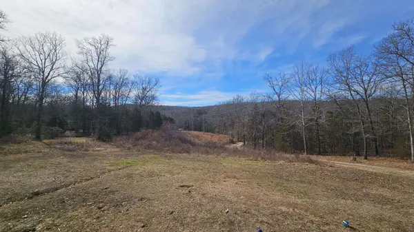 3528 County Road E 14-253, Drury, MO 65638