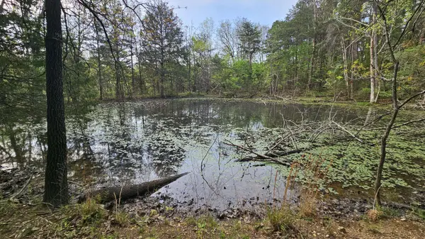 3133 State Highway W & Highway 14, Dora, MO 65637