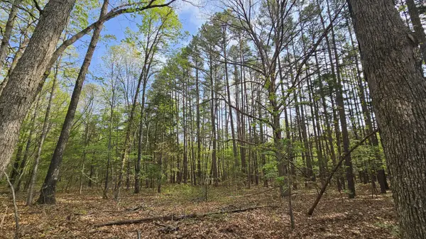 3133 State Highway W & Highway 14, Dora, MO 65637