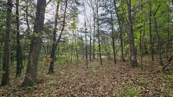 3133 State Highway W & Highway 14, Dora, MO 65637