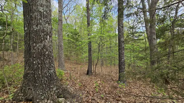 3133 State Highway W & Highway 14, Dora, MO 65637