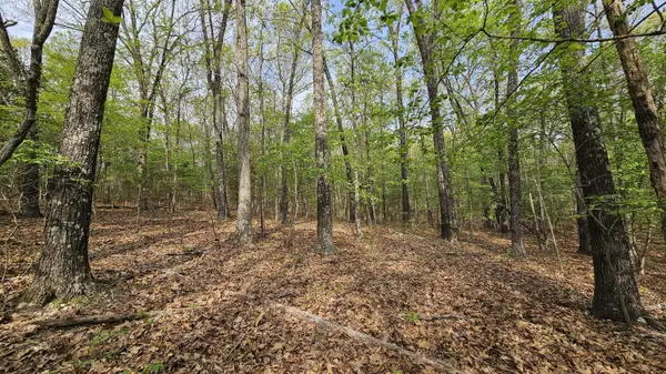 3133 State Highway W & Highway 14, Dora, MO 65637