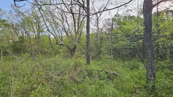 3133 State Highway W & Highway 14, Dora, MO 65637