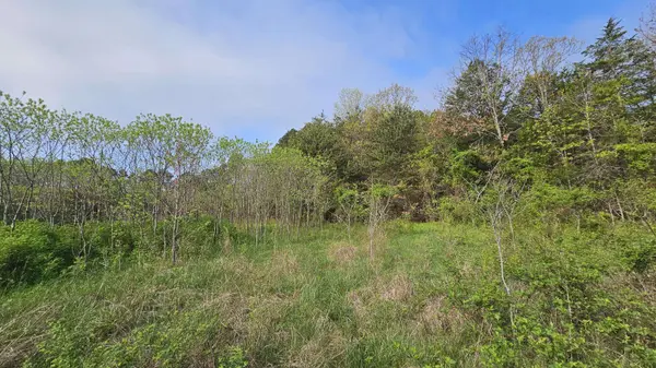 3133 State Highway W & Highway 14, Dora, MO 65637