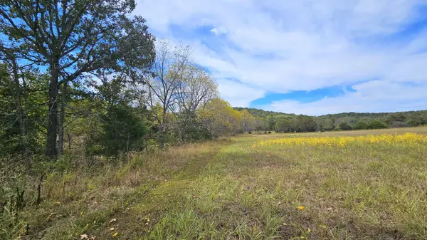 30349 County Road V-234, Drury, MO 65638