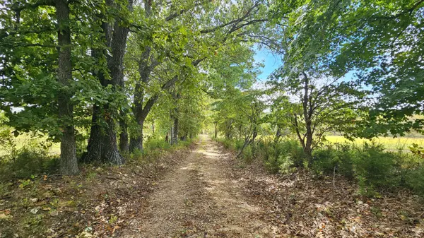 30349 County Road V-234, Drury, MO 65638
