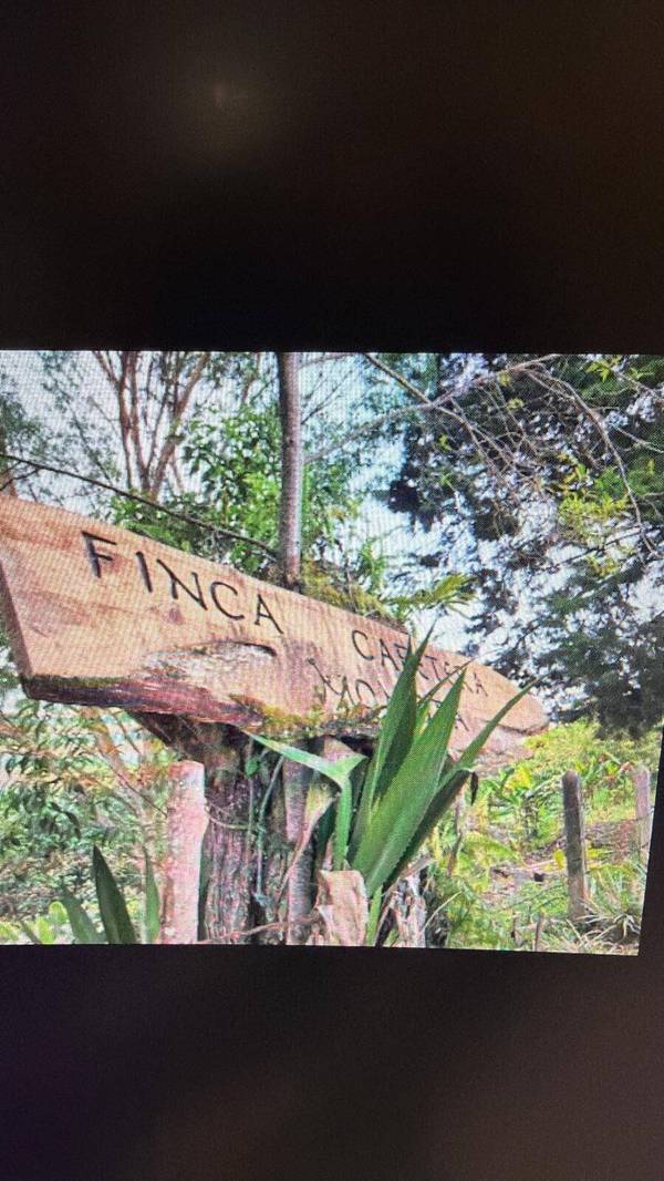 000 Kilometro -0, Out Of Country, 00000