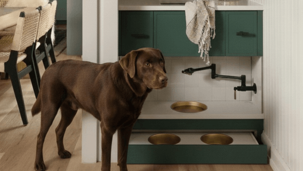 From Messy to Adorable: Dog Bowl Area Inspiration for a More Organized Home 