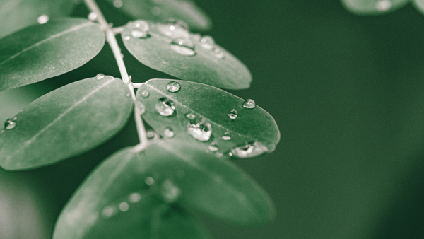 Tip Tuesday: Check Your Water Pressure Before It Becomes an Expensive Plumbing Problem 