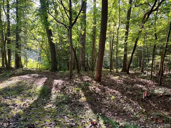 Lot 7 Oakwood Ct., Bracey, VA 23919