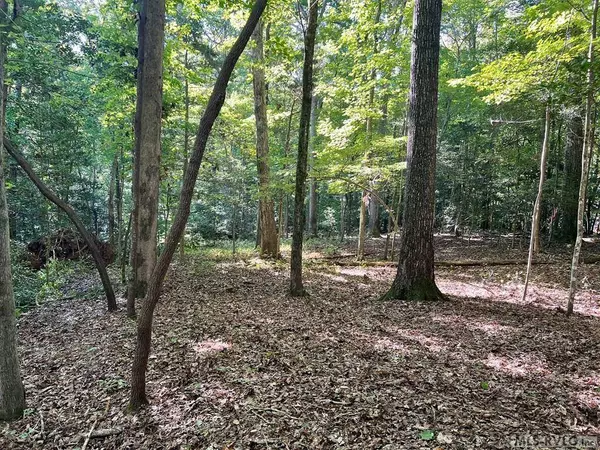 Lot 7 Oakwood Ct., Bracey, VA 23919