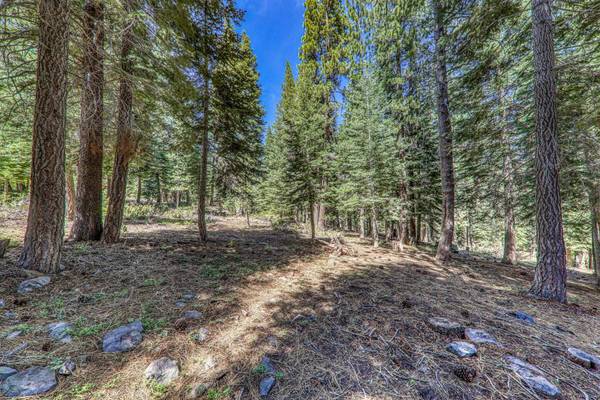 11665 Zermatt Drive, Truckee, CA 96161