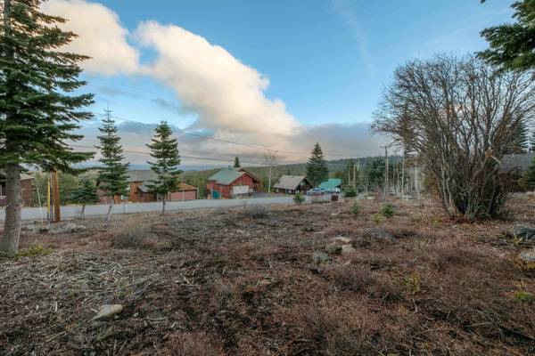 11784 Rhineland Avenue, Truckee, CA 96161-0000