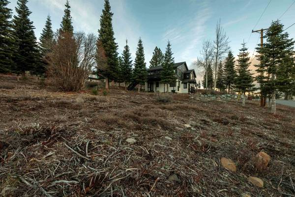 11784 Rhineland Avenue, Truckee, CA 96161-0000