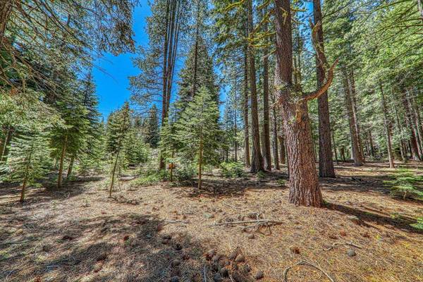 16859 Northwoods Boulevard, Truckee, CA 96161-0000
