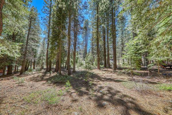 16859 Northwoods Boulevard, Truckee, CA 96161-0000