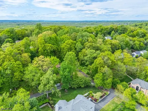 46 Mountain Ave, Chatham Twp., NJ 07928
