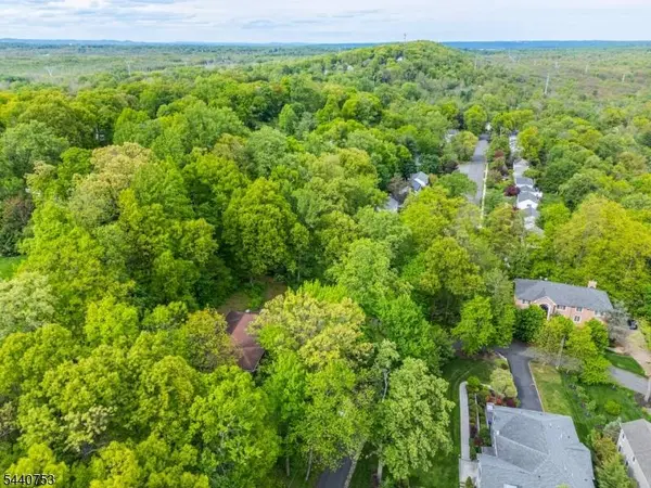 46 Mountain Ave, Chatham Twp., NJ 07928