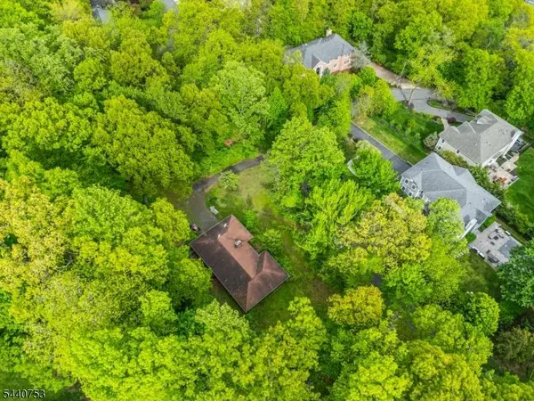 46 Mountain Ave, Chatham Twp., NJ 07928