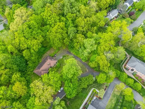 50 Mountain Ave, Chatham Twp., NJ 07928