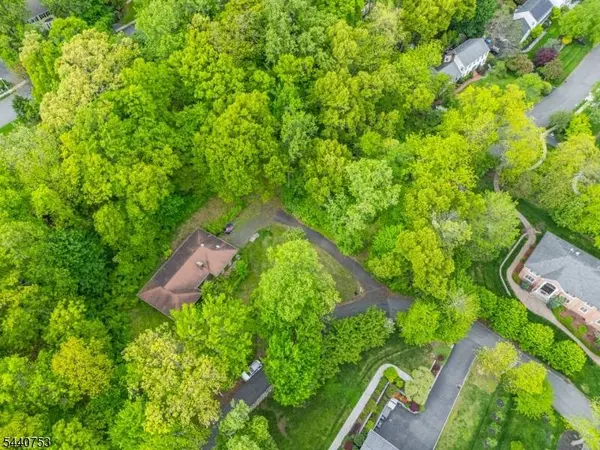 46 Mountain Ave, Chatham Twp., NJ 07928