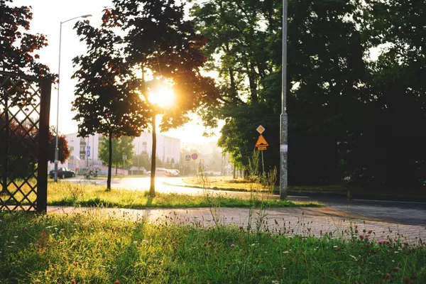 How to Choose the Right Neighborhood in Greater Baton Rouge