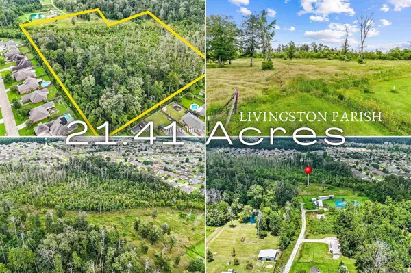 13261 Hammack Rd – 21.41 Acres of Prime Land in Denham Springs
