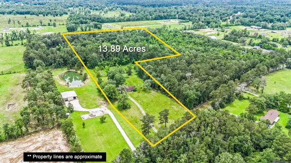 17932 Watts Rd, Livingston, LA 70754